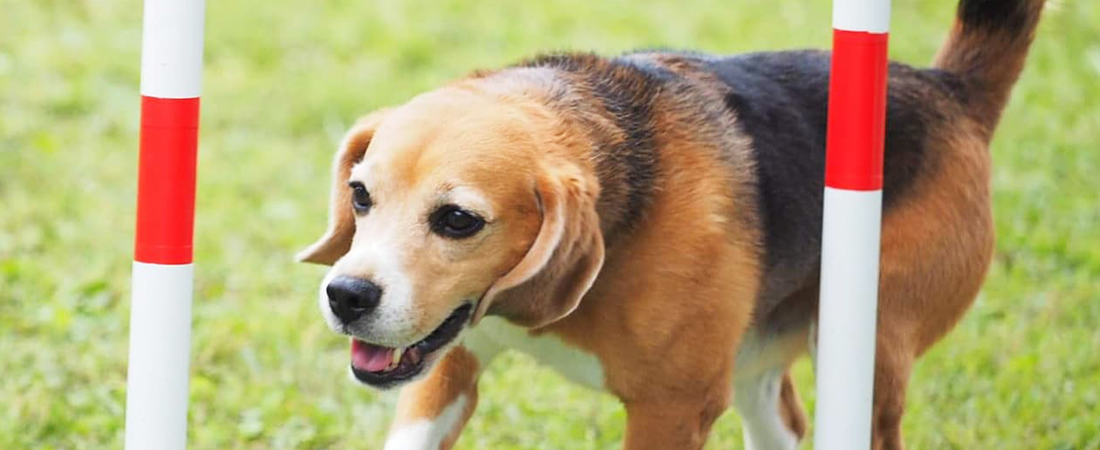 グランド貸出について