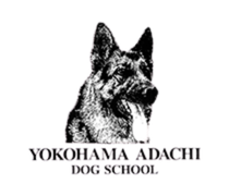 横浜安達ドッグスクール